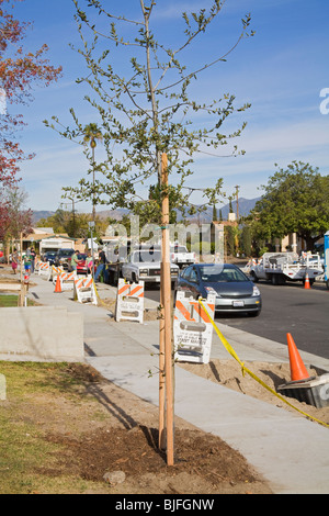 Elmer Avenue Nachbarschaft Retrofit-Projekt hilft Regenwasser zu verwalten und Überschwemmungen und Verschmutzung zu reduzieren. Los Angeles Stockfoto