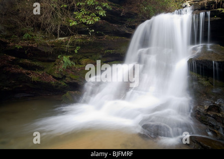 Nur die Hälfte der fallen, aber eine sehr schöne halbe. :) Dieses Teil der Wasserfälle erinnert mich an was ich Maidenhair fällt auf den Raven Cliff fällt weg nennen. Stockfoto