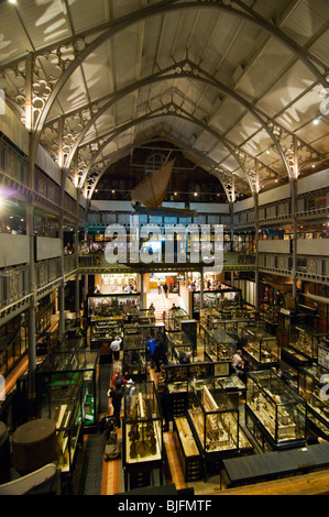 Das Innere des Pitt Rivers Museum Oxford UK Stockfoto