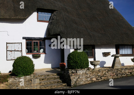 Typische traditionelle ziemlich weiß getünchten Reetdachhaus in Ortslage Wiltshire in England UK Stockfoto