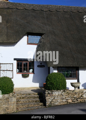 Typische traditionelle ziemlich weiß getünchten Reetdachhaus in Ortslage Wiltshire in England UK Stockfoto