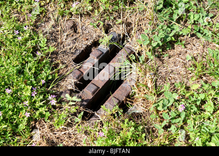 Abfluss überwuchern 2009 Stockfoto