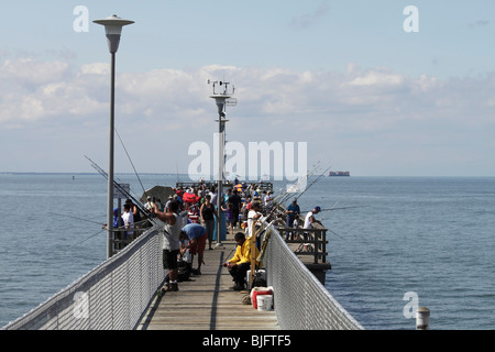 Möwe Angelsteg Stockfoto
