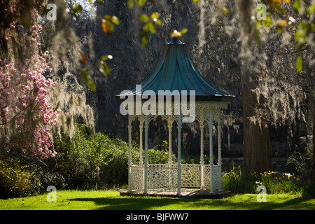 Magnolia Plantation und Gärten, Charleston, South Carolina Stockfoto