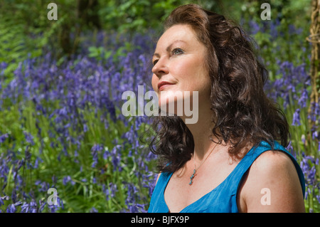 Bluebell Wood - Johannes Gollop Stockfoto