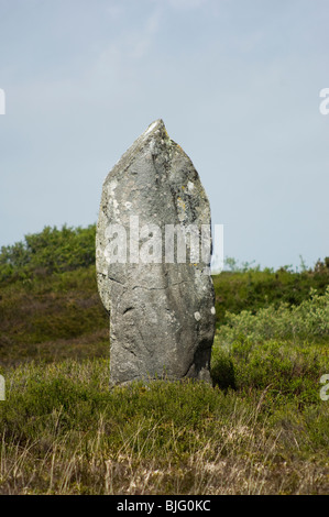 Standing Stone - Johannes Gollop Stockfoto