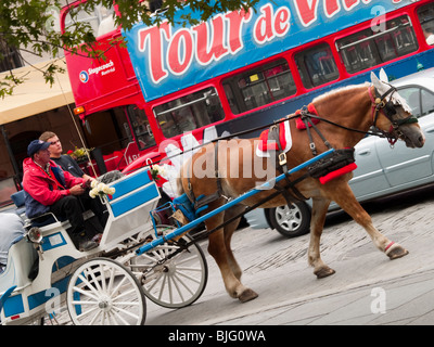Pferd und Kutsche in Vieux (alt) Montreal, Quebec, Kanada Stockfoto