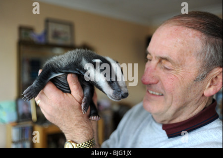 Roger Musselle mit einem Dachs Cub auf seiner Animal Rescue Center in Woodingdean Brighton UK Stockfoto