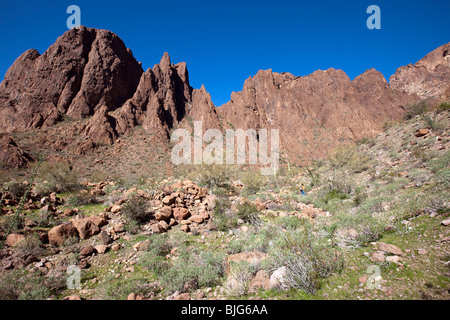 Vulkanischen Rhyolith, KOFA Wildlife Refuge, Arizona Stockfoto