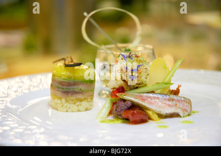 italienische Küche, Filet vom Fisch serviert in einer verzierten Schale für einen gastronomischen Wettbewerb Stockfoto