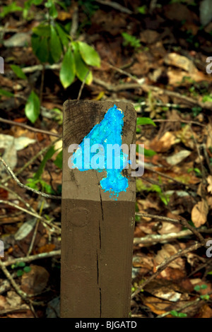 Florida-Wanderwege sind auf verschiedene Weise mit Zahlen lodert und Zeichen markiert. Stockfoto