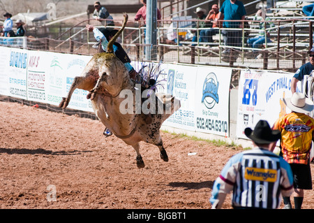 ein Cowboy konkurriert in der Bullenreiten Ereignis während der O' odham Tash All-indischen rodeo Stockfoto