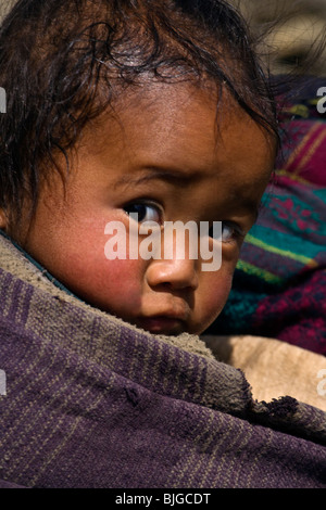 BHOTE Kind im Dorf SAMDO auf der ganzen MANASLU Trekking - NUPRI REGION NEPALS Stockfoto