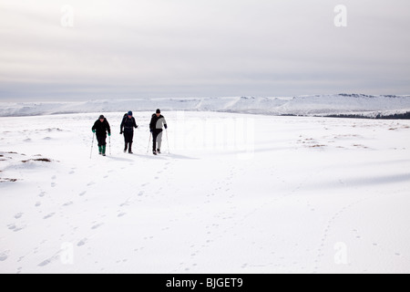 3 Rüden zu Fuß auf Bleaklow in Derbyshire Peak District.Kinder Scout ist im Hintergrund Stockfoto