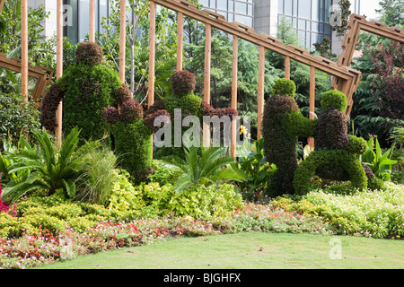 Hecke vor Fuxuan Hotel, Schule von Journalismus, Fudan Universität, Shanghai, China Stockfoto