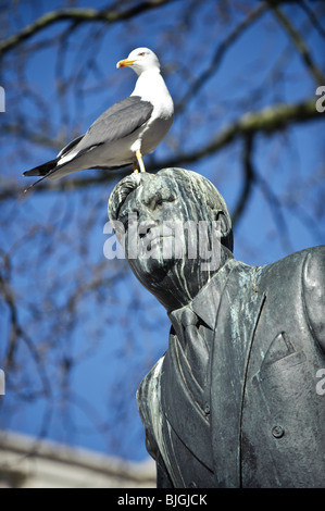 Eine Möwe hocken auf den Kopf der Statue von Aneurin Bevan, Cardiff Wales UK Stockfoto