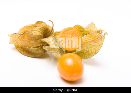 Gruppe von Physalis auch bekannt als chinesischer Lampion isoliert vor weißem Hintergrund. Stockfoto