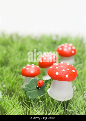 Glücksbringer (Fliegenpilz-Pilze, 4 Kleeblatt) Gras- Stockfoto