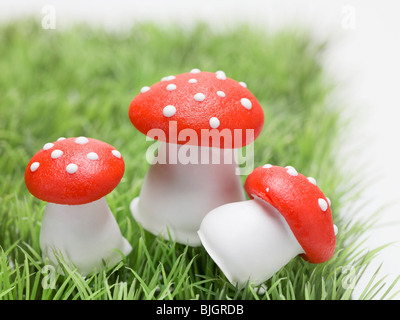 Glücksbringer (Fliegenpilz-Pilze) Gras- Stockfoto