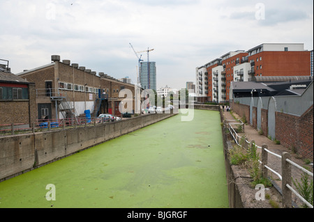 Wachstum wird den Kanal grün, da der Bogen zurück Flüsse in Stratford für die Entwicklung des Standorts London 2012 Olympische geschlossen sind Stockfoto