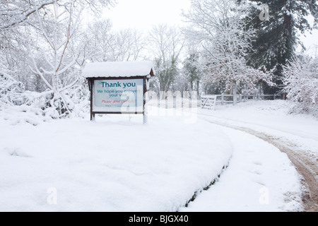 Verschneite Szenen in Holt Country Park in Norfolk, Großbritannien Stockfoto