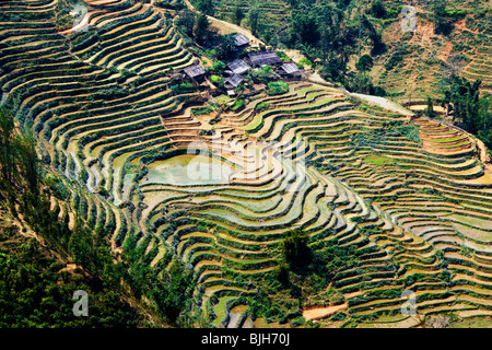 Das Muong OA Valley mit traditionellen terrassenförmig angewachsenen Paddy Fields, die Reis und Indigo anbauen, in der Nähe von Sapa, Nordvietnam, Südostasien Stockfoto
