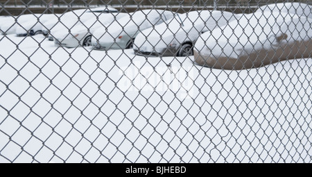 Parkplatz hinter Maschendrahtzaun Stockfoto