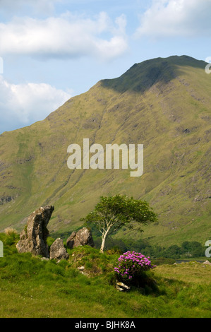 Ben Gorm von Delphi Brücke, Doo Lough pass, County Mayo, Irland Stockfoto