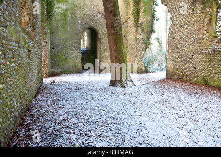 Die verfallenen Shell von Str. Marys Kirche & großen Eiche Baum wächst durch die Mitte in der Norfolk-Landschaft nach Schnee, UK Stockfoto