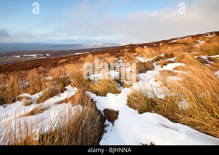 Warmes Licht am Nachmittag trifft die Pisten und den Rest der Winterschnee an den Hängen des Bleaklow in The Peak District Stockfoto