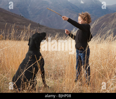 Mädchen spielen holen mit Hund Stockfoto