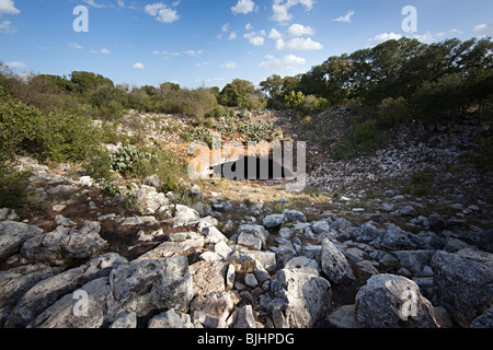 Der Eingang zum Bracken Cave größte Roost des mexikanischen frei-tailed Fledermäuse vor Brasiliensis Texas USA Stockfoto