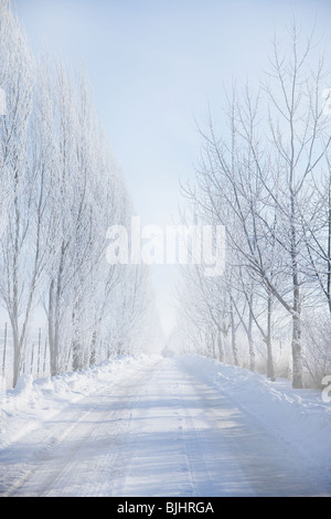 Landstraße im winter Stockfoto