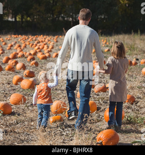 Vater und Töchter im Kürbisfeld Stockfoto