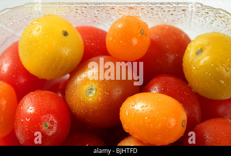 Kleine Kirsche variiert Multi Farbe Tomaten, im Studio, weißer Hintergrund Stockfoto