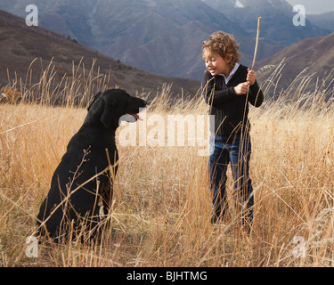 Mädchen spielen holen mit Hund Stockfoto