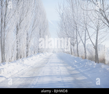 Landstraße im winter Stockfoto