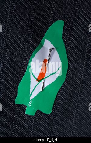 Easter Lily Pin Abzeichen fixiert auf ein Anzug-Revers die Lilie wird zu Ostern getragen, von den irischen Republikanern zum Gedenken an die Kriegstoten Stockfoto