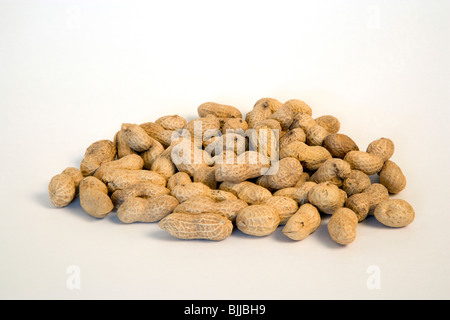 USA, Essen, Nüssen, Erdnüsse Erdnüssen in ihren Kernel auf einem weißen Hintergrund. Stockfoto