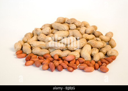 USA, Nahrung, Nüssen, Erdnüsse Erdnüssen, Kerne auf einem weißen Hintergrund. Stockfoto