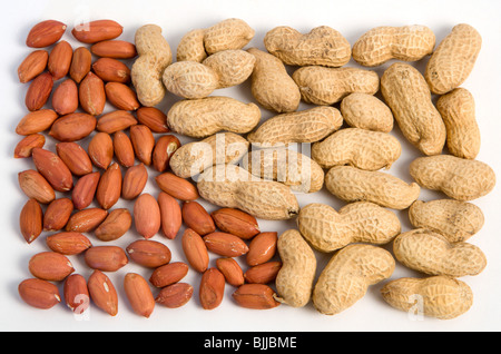 USA, Essen, Nüssen, Erdnüsse Erdnüssen und Kerne oder Schalen auf einem weißen Hintergrund. Stockfoto