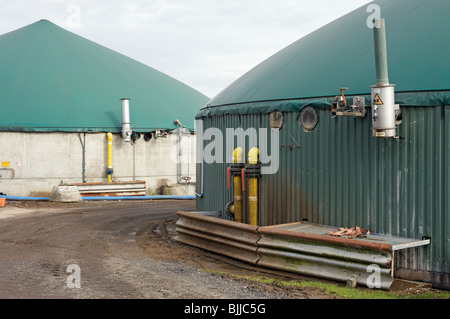 Biogas Lagertanks auf einer Farm, die Erzeugung von Energie aus Abfall Stockfoto