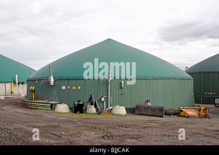 Biogas Lagertanks auf einer Farm, die Erzeugung von Energie aus Abfall Stockfoto