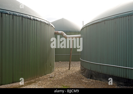 Biogas Lagertanks auf einer Farm, die Erzeugung von Energie aus Abfall Stockfoto