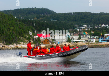 Touristen in einem Zodiac-Schlauchboot auf einem Ausflug im Saguenay Fjord in der Nähe von Tadoussac, Kanada Stockfoto