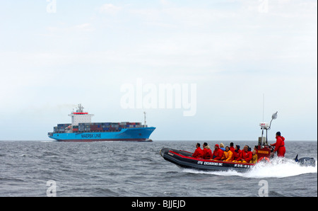 Ein Zodiac-Schlauchboot mit Touristen an Bord vorbei an einem Frachtschiff Maersk Line am St.-Lorenz-Strom, Tadoussac, Kanada Stockfoto