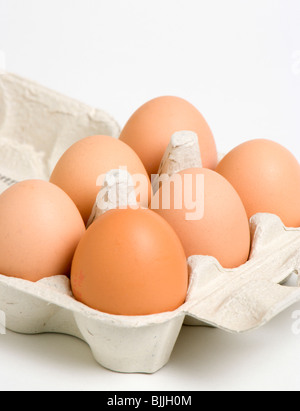 Essen, Uncooked, Eiern, Schachtel mit sechs Freilandeier auf weißem Hintergrund. Stockfoto