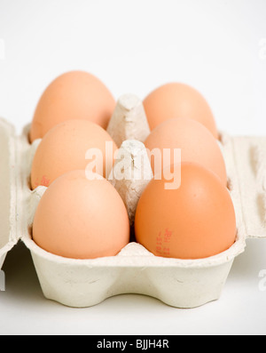 Essen, Uncooked, Eiern, Schachtel mit sechs Freilandeier auf weißem Hintergrund. Stockfoto