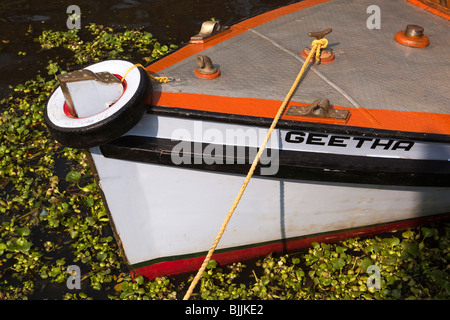 Indien, Kerala, Alappuzha (Alleppey) Nord-Kanal, Bug Geetha, kleinen Rückstau touristischen Ausflugsboot Stockfoto
