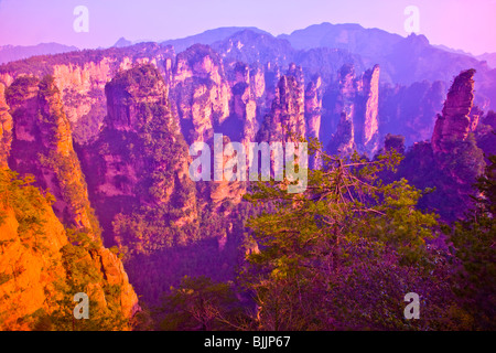 Der Vorgarten Zinnen Rock in Zhangjiajie National Forest Park, der Volksrepublik China, Wulingyuan Nationalpark, UNES Stockfoto